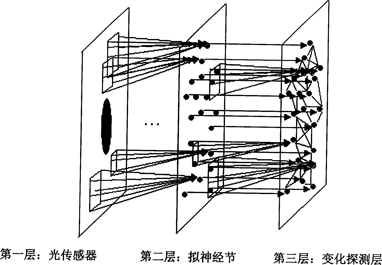 Wild size variable hierarchical network model of retina ganglion cell sensing and its algorithm