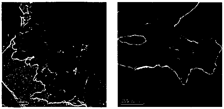 Self-assembled copolymerized carbon nitride photocatalytic composite material, and preparation method and application thereof