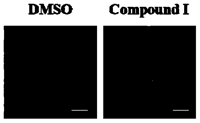 New application of pyridine compound