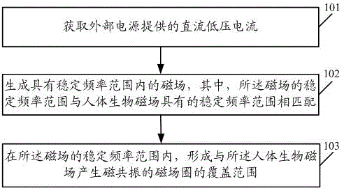 Magnetic resonance physiotherapy method and device