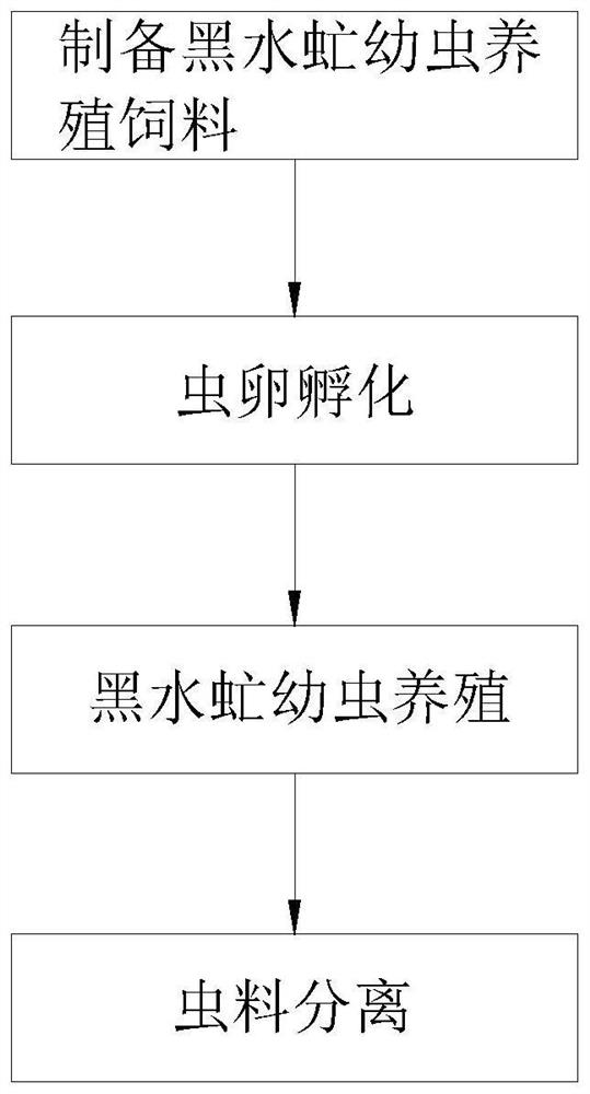 Method for breeding hermetia illucens larvae through three-phase separated solid-phase material in kitchen project