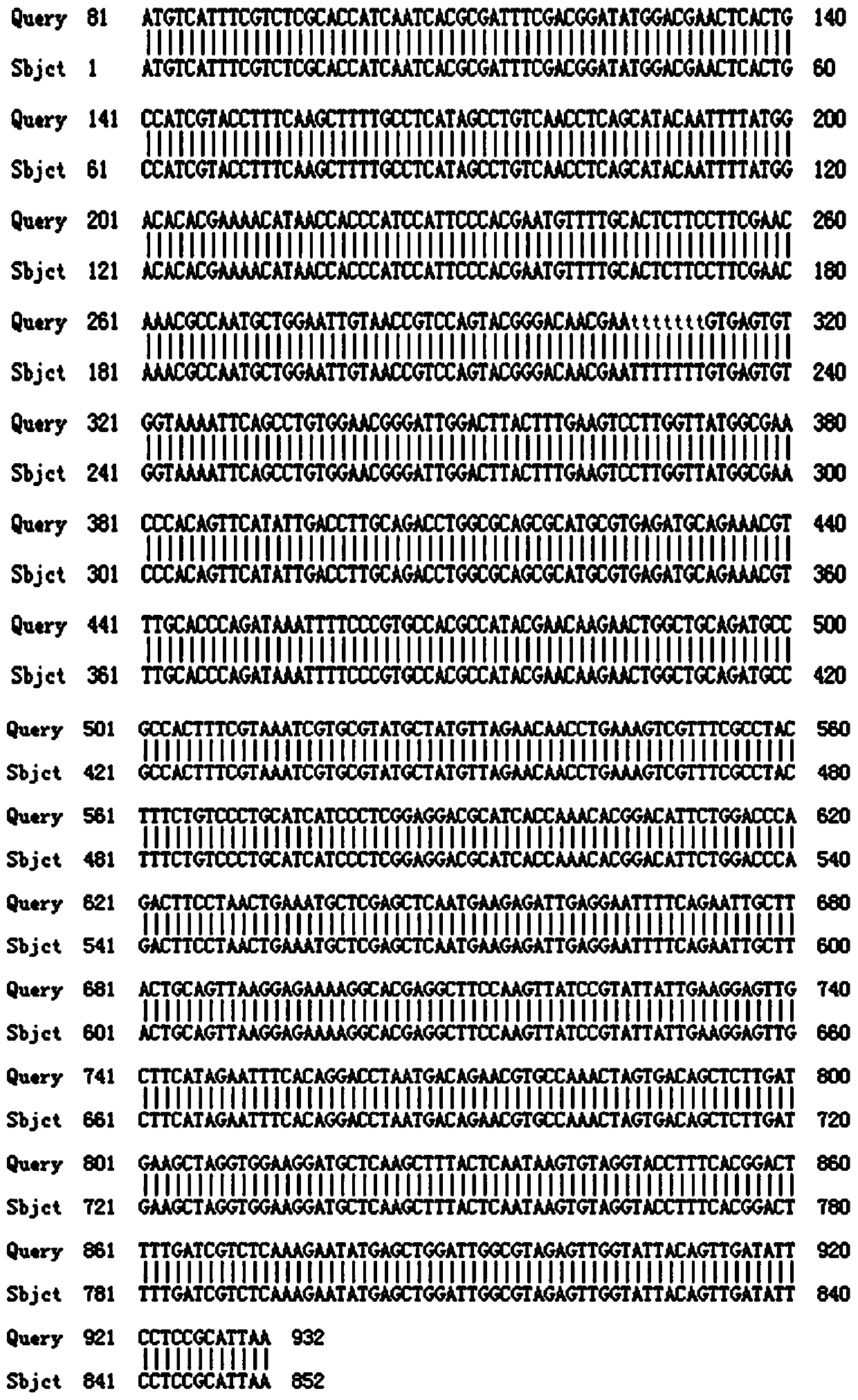 Clonorchis sinensis recombinant protein C&lt;s&gt;H&lt;sc&gt;B and application thereof in enteritis therapeutic drug