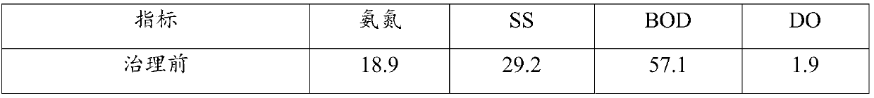 Functional bacterial flora establishment method applicable to black and odorous water body treatment and method for treating black and odorous water body with bacterial flora