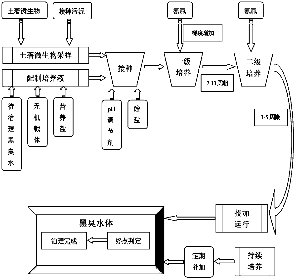 Functional bacterial flora establishment method applicable to black and odorous water body treatment and method for treating black and odorous water body with bacterial flora