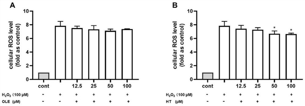 Application of jasminum grandiflorum extract or active ingredients thereof in preparation of elastase inhibitor