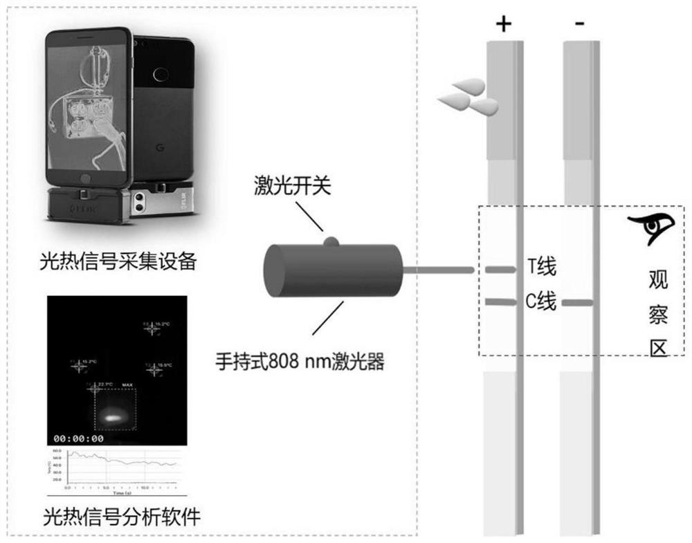 Black phosphorus colorimetric/photo-thermal dual-mode visual immunochromatographic detection method for rapid detection of norfloxacin