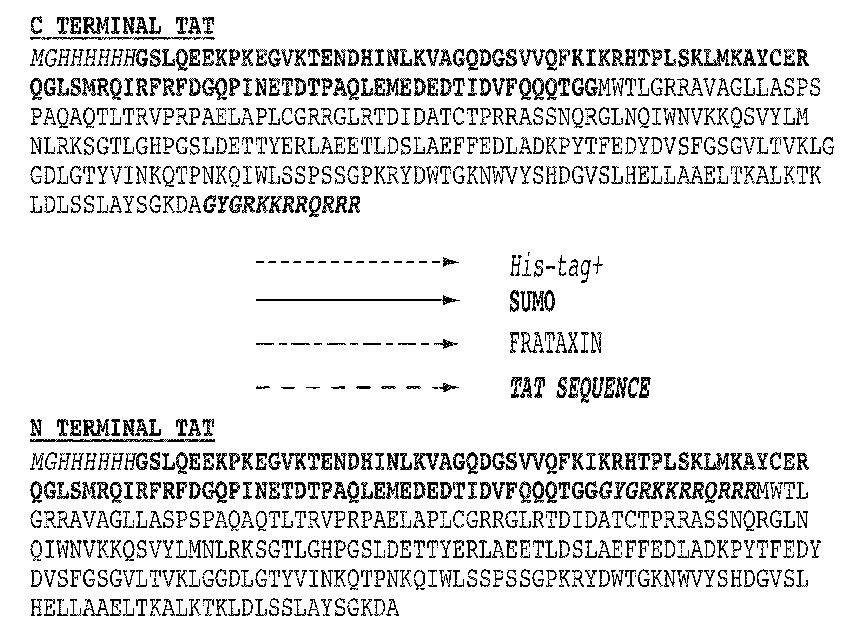 Mitochondrial targeting and therapeutic use thereof