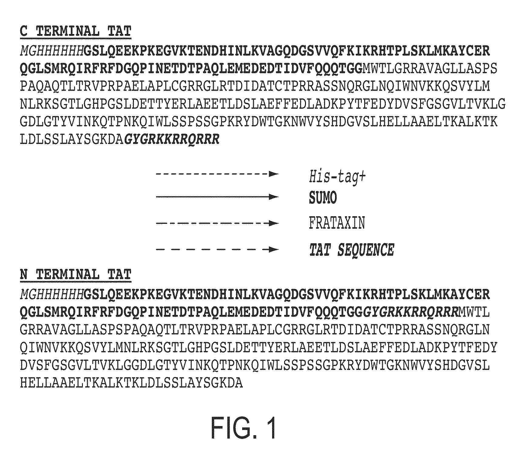 Mitochondrial targeting and therapeutic use thereof