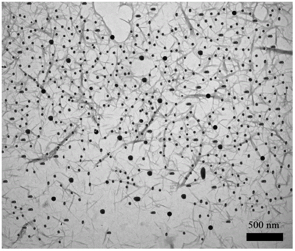 Preparation method of nano-silver particle supported nanocellulose antibacterial film