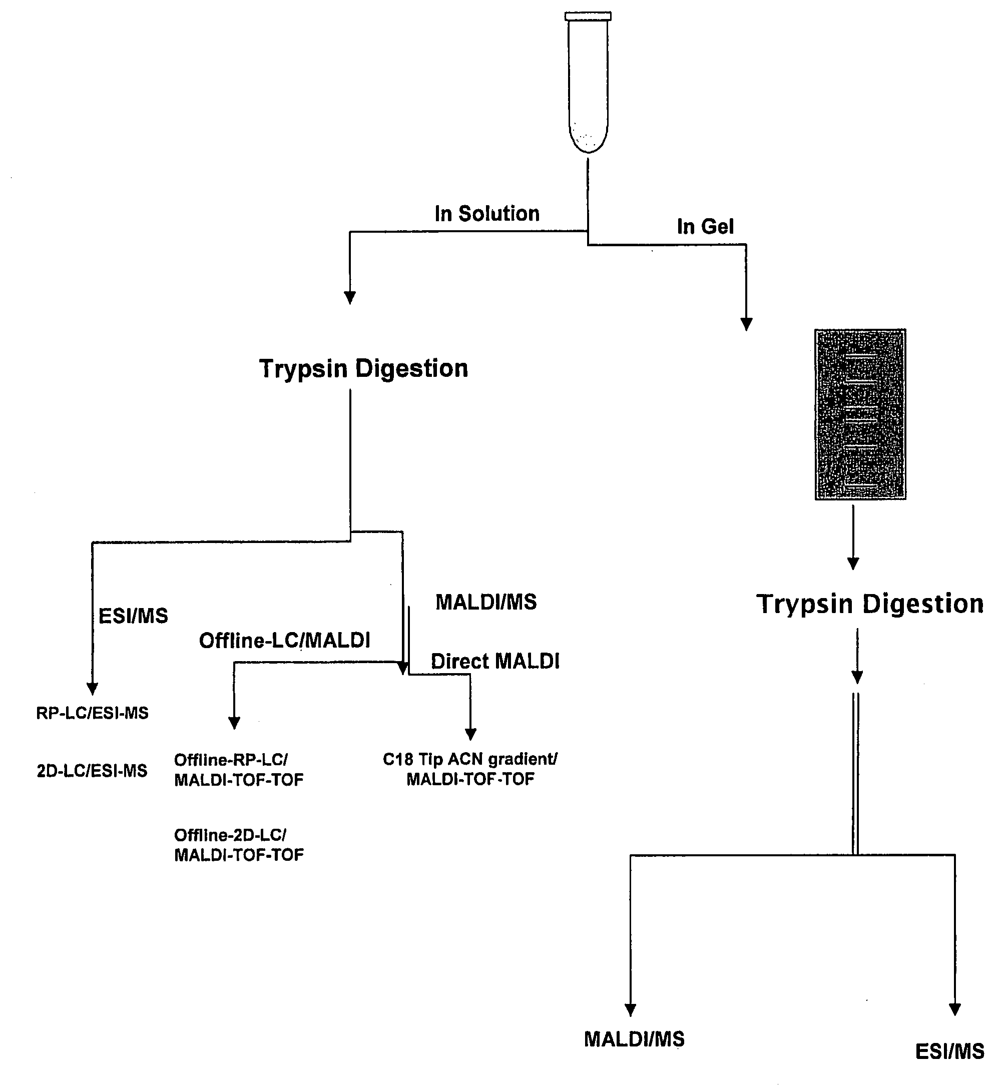 Proteome Standards for Mass Spectrometry