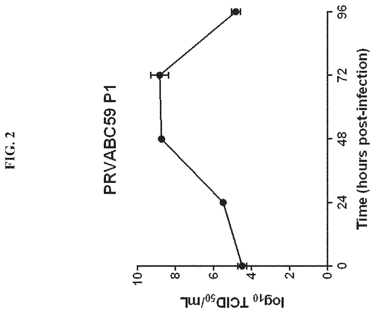 Zika Vaccines and Immunogenic Compositions, and Methods of Using the Same