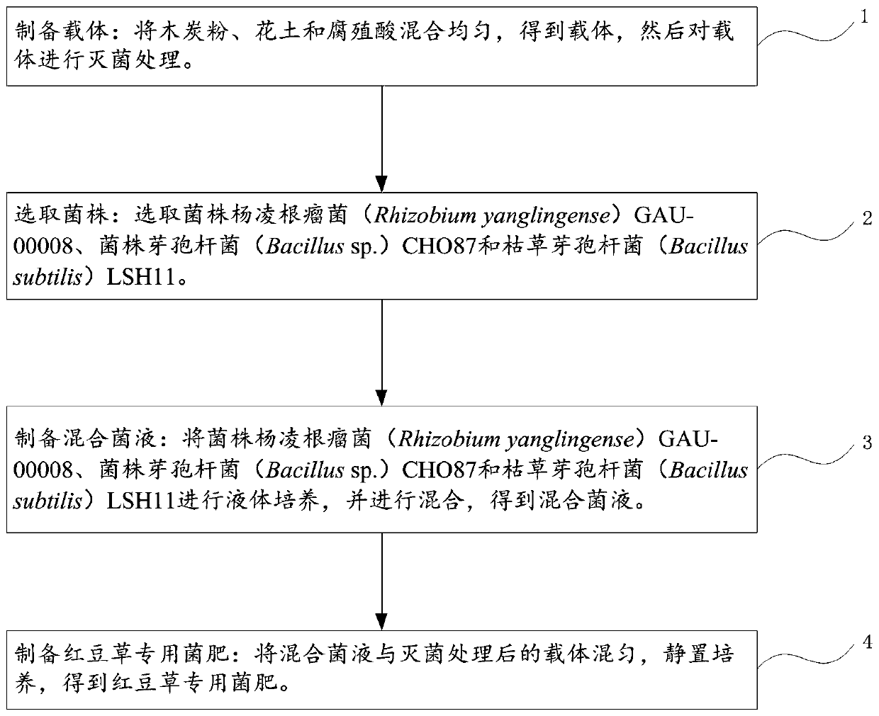 Special bacterial fertilizer for sainfoin and preparation method of special bacterial fertilizer