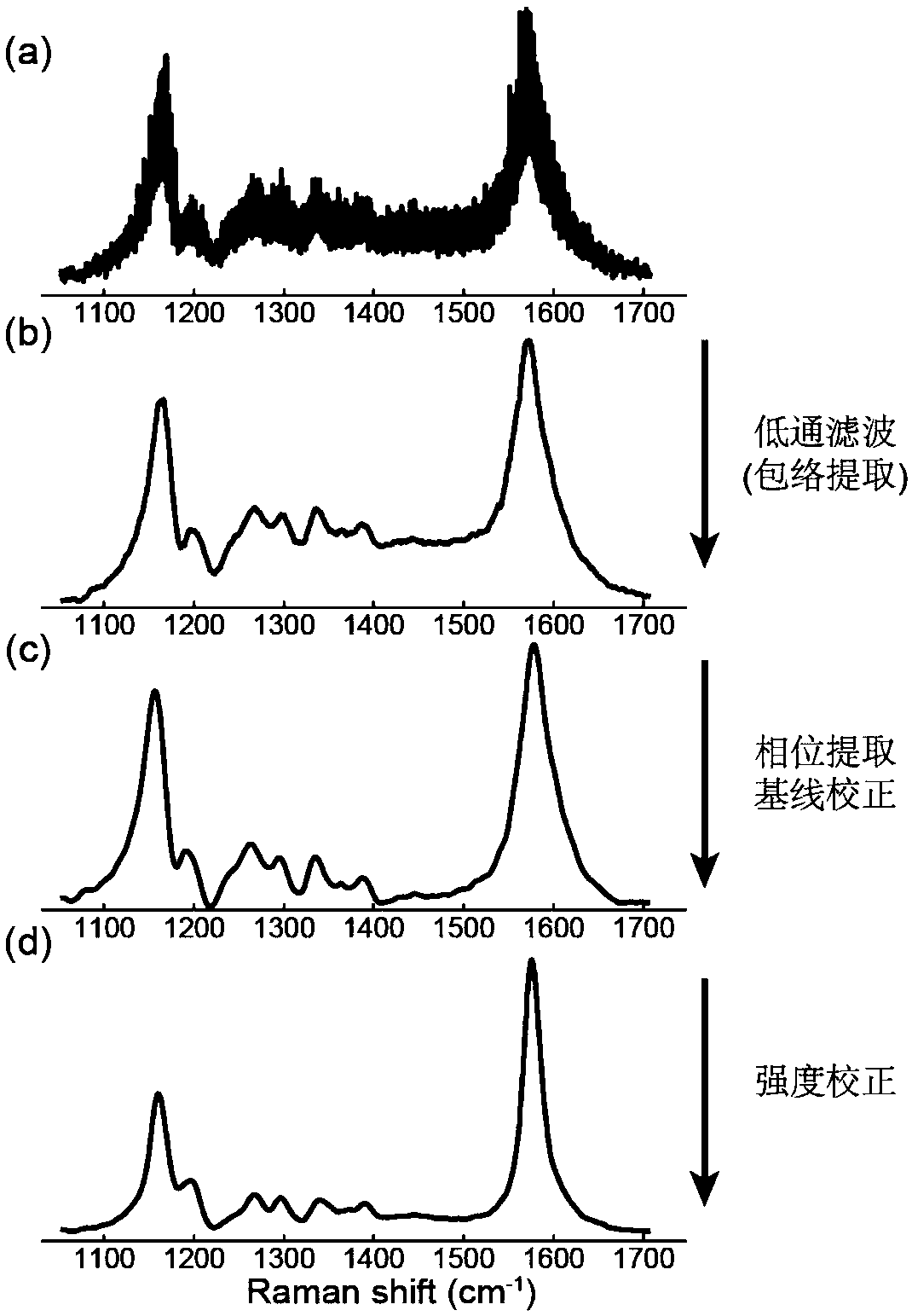 Dual-optical frequency comb spectrum focusing coherent anti-stokes Raman scattering detection system