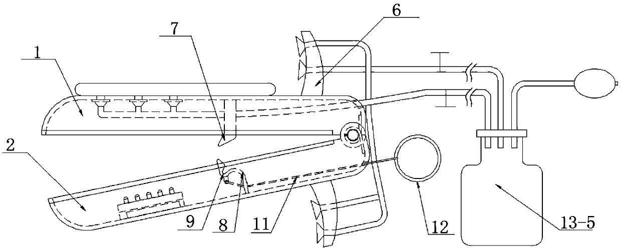 Strutting device with high safety performance for gynecological examination