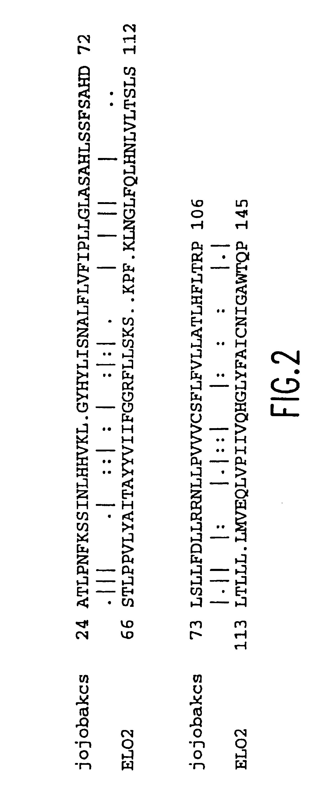 Elongase genes and uses thereof