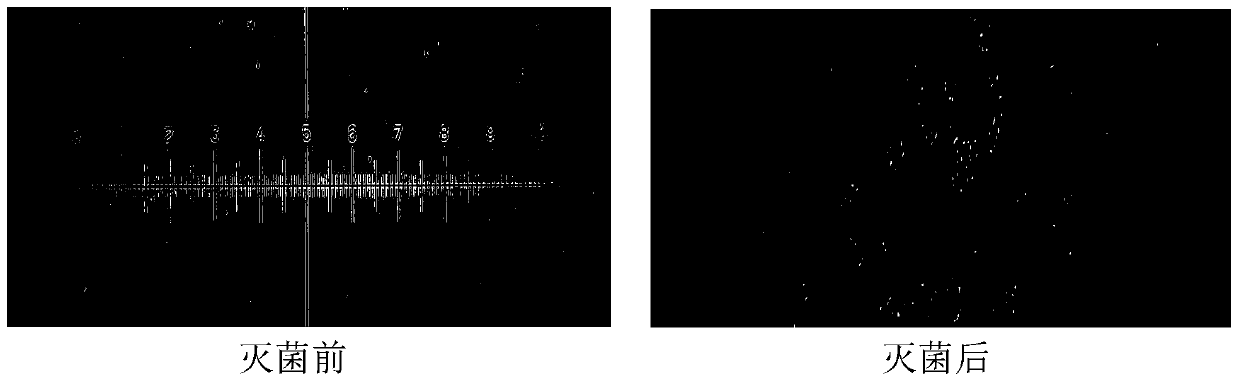 A kind of suspension containing dexamethasone and preparation method thereof