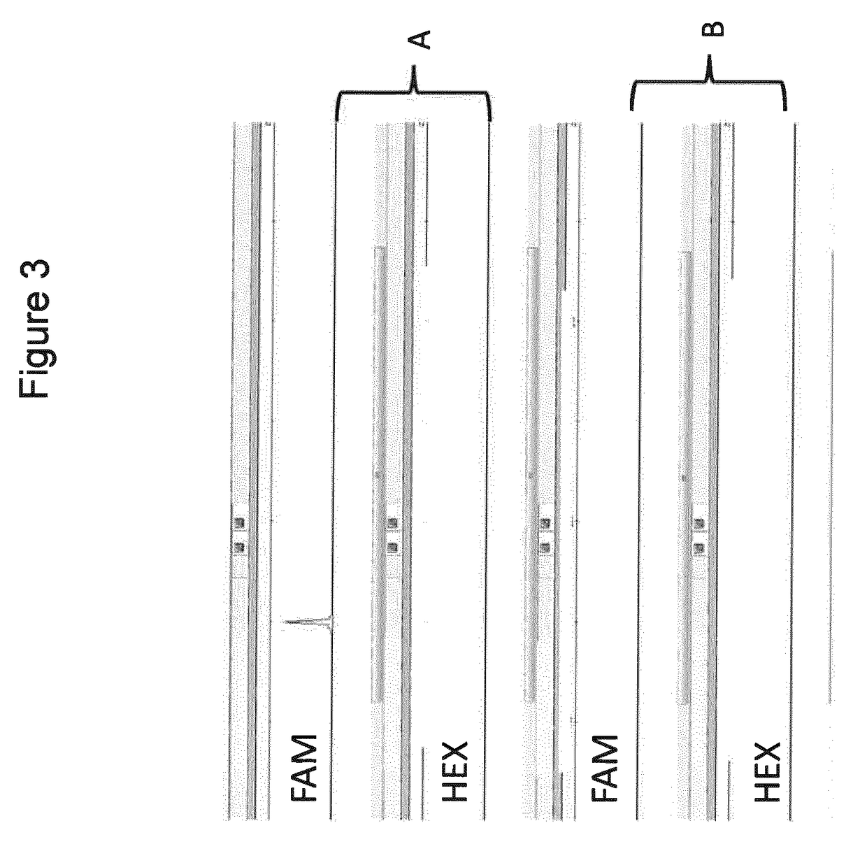 Selective amplification of desired nucleic acid regions in a target sequence