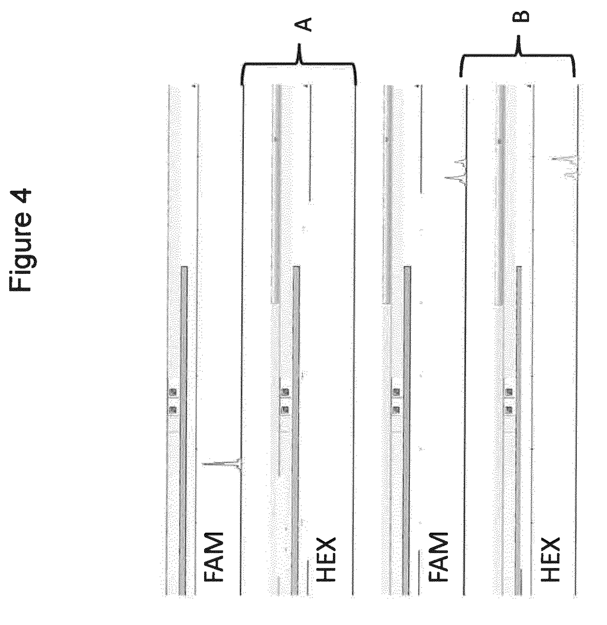 Selective amplification of desired nucleic acid regions in a target sequence