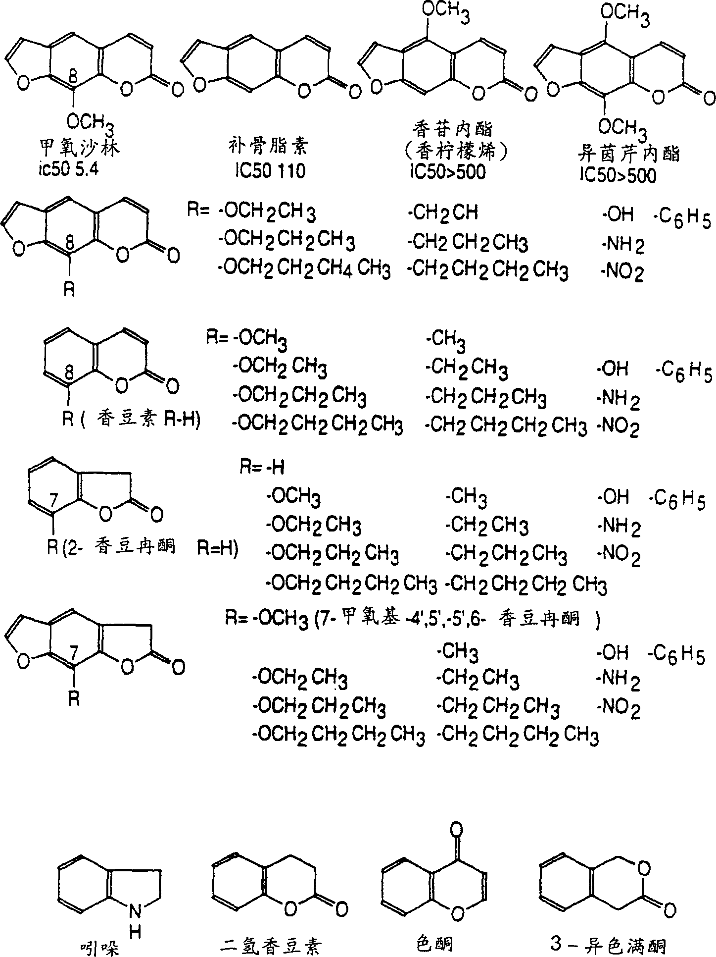 CYP2A enzymes and their use in therapeutic and diagnostic method