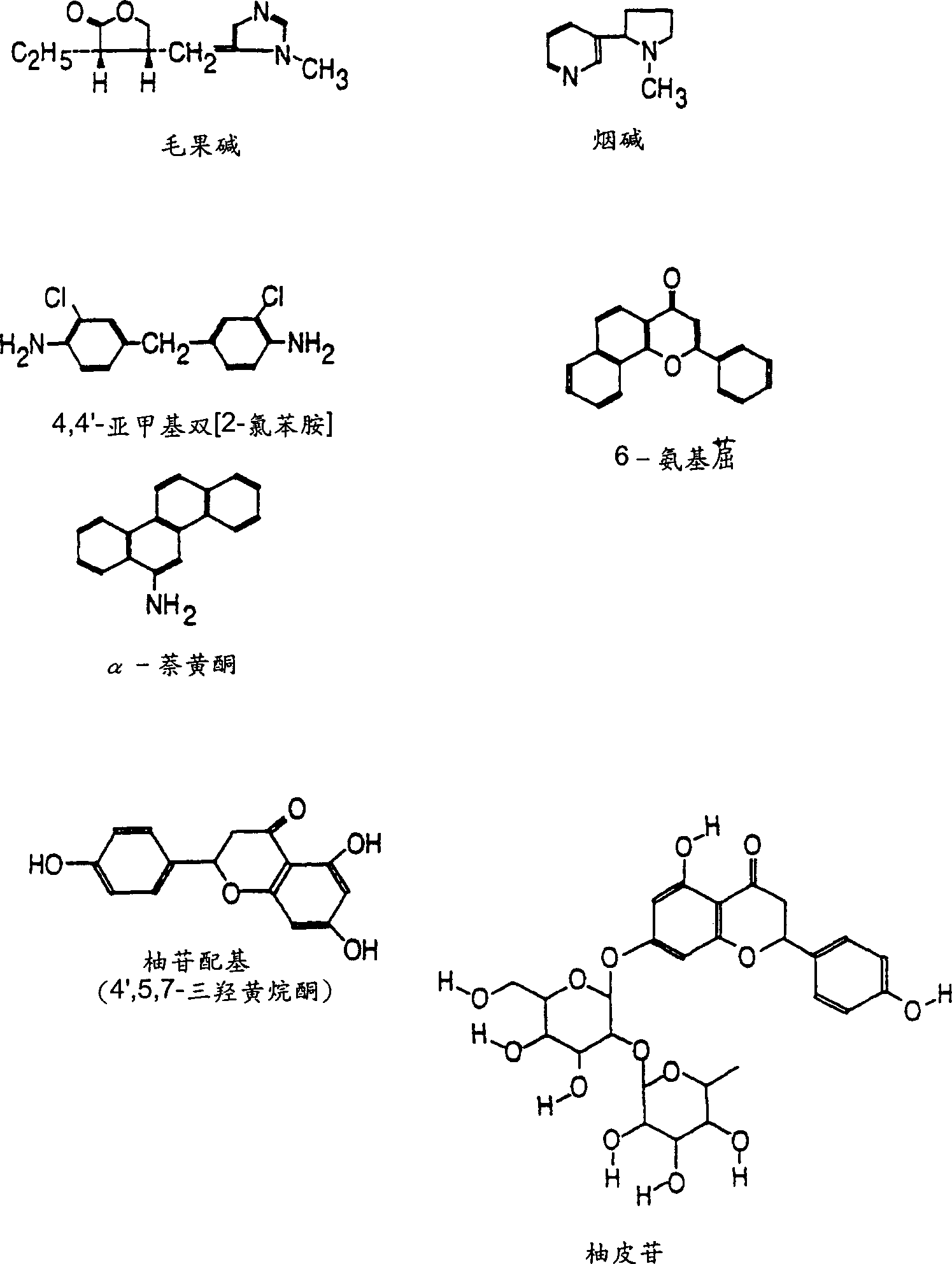 CYP2A enzymes and their use in therapeutic and diagnostic method