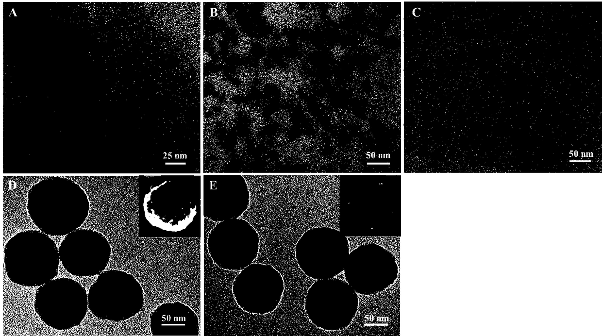 Molecular imprinting ratio fluorescent sensor, preparation and application thereof