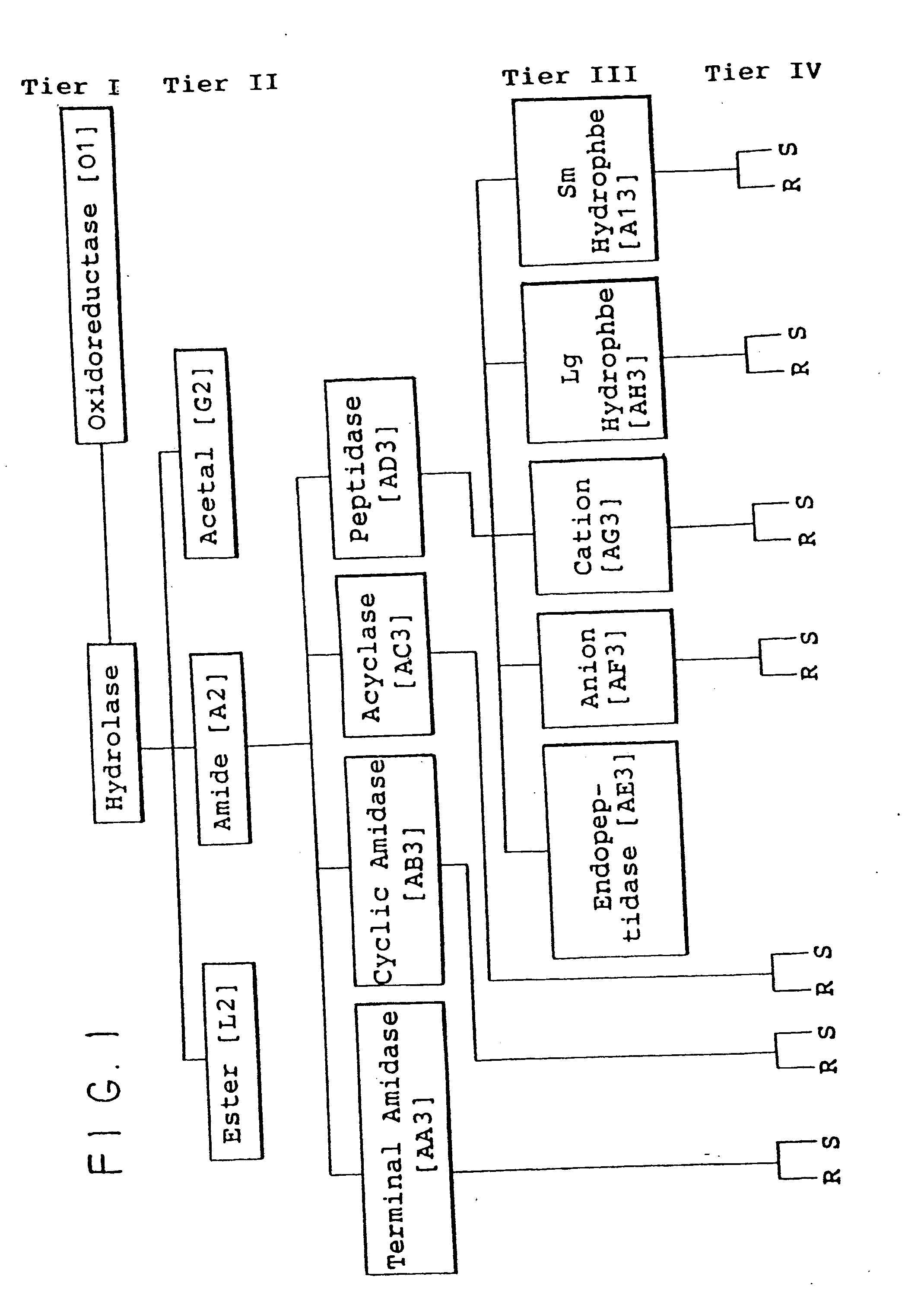 Protein activity screening of clones having DNA from uncultivated microorganisms