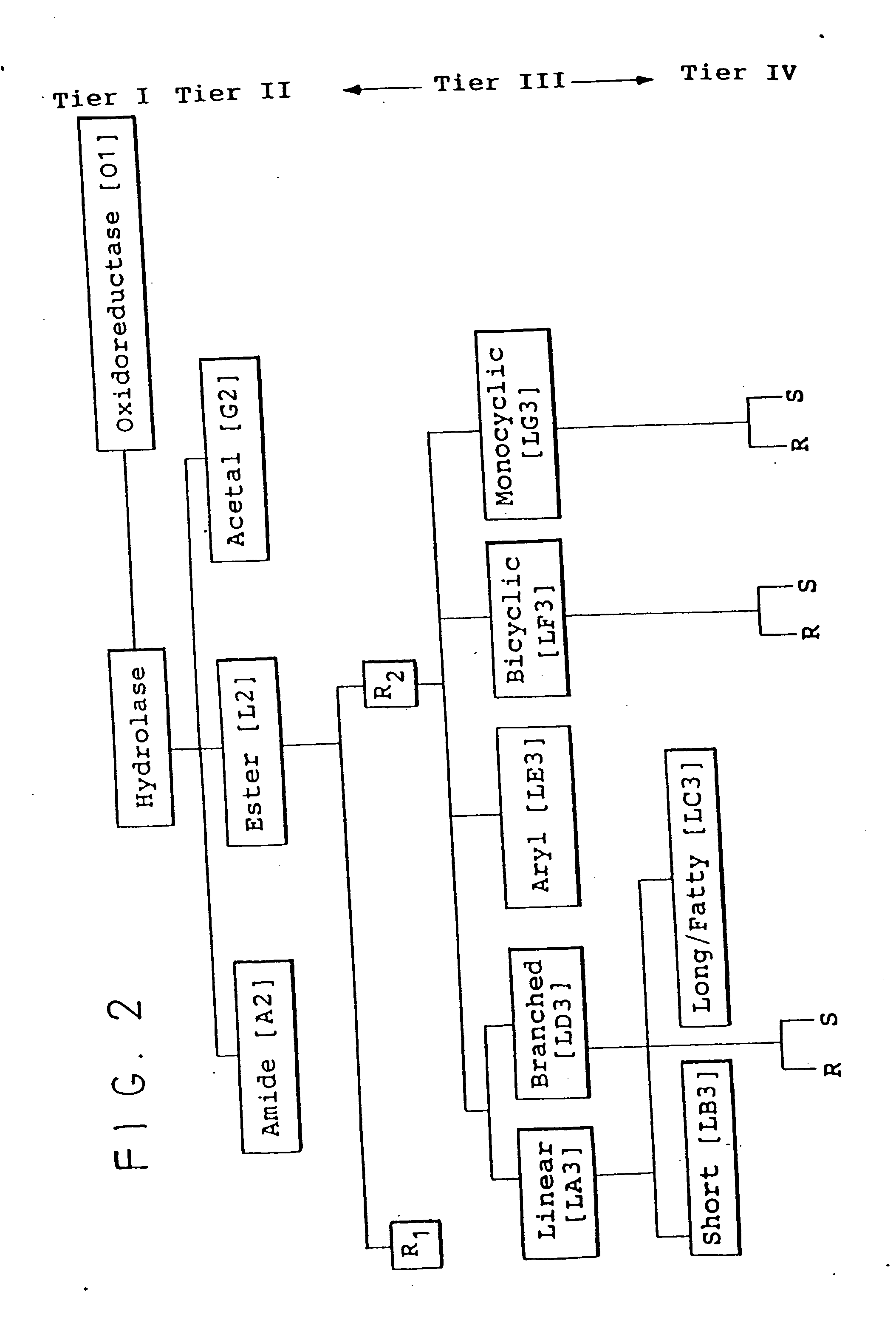 Protein activity screening of clones having DNA from uncultivated microorganisms