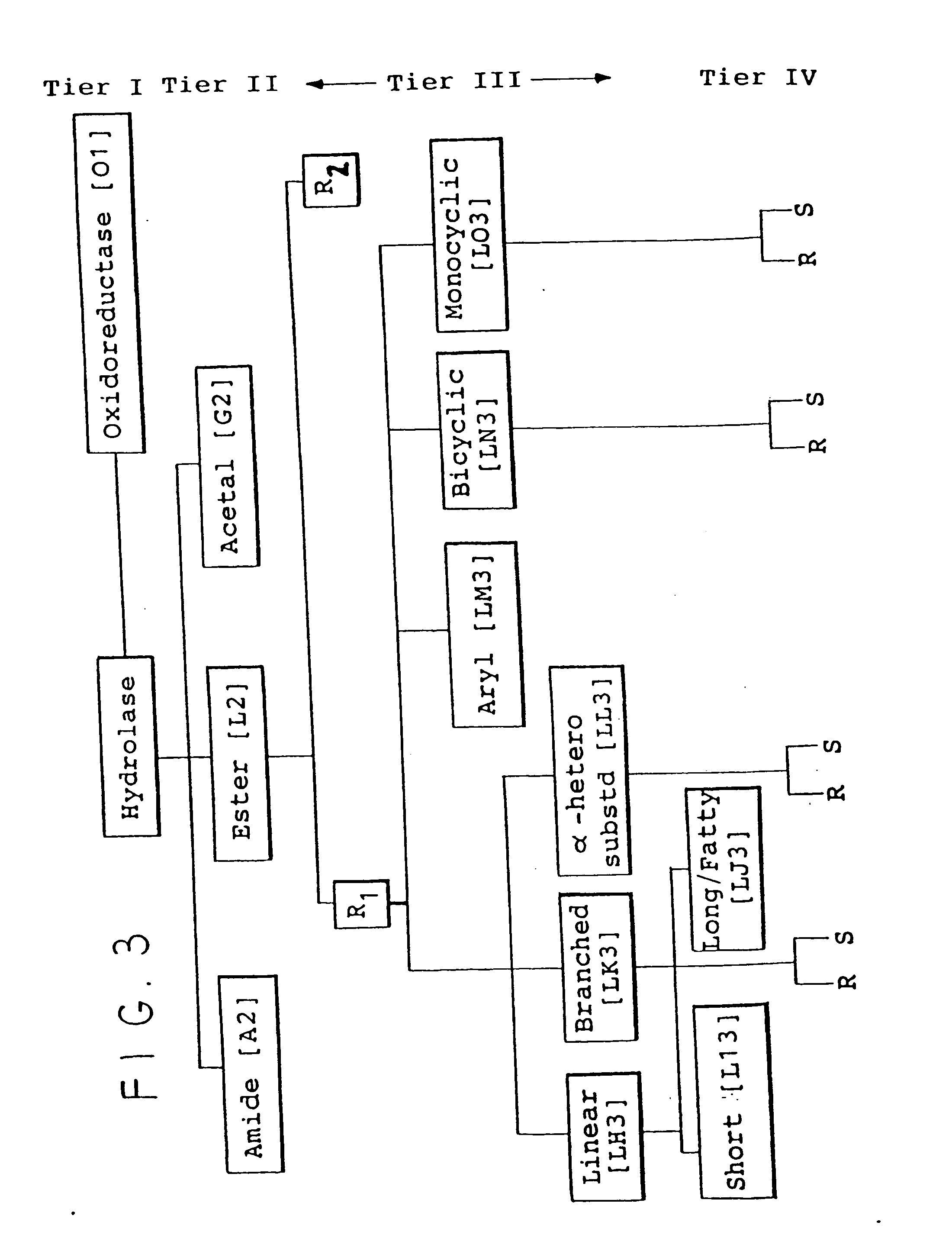 Protein activity screening of clones having DNA from uncultivated microorganisms