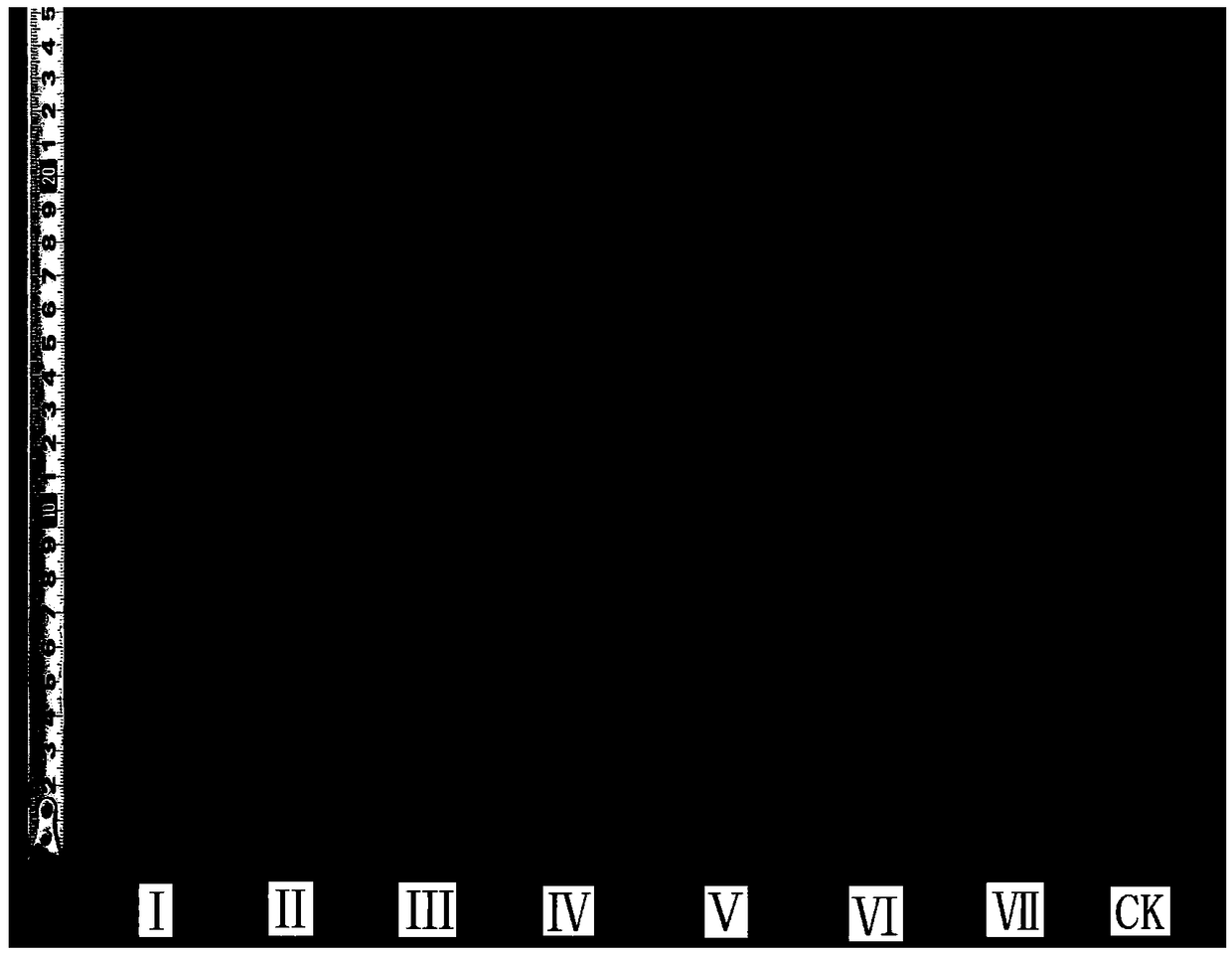 Plant growth regulator and application thereof