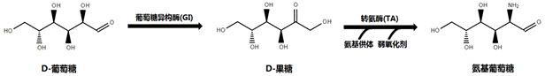 Enzymatic preparation method of glucosamine