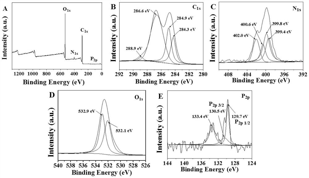 Graphene oxide-amino-beta-cyclodextrin/black phosphorus modified glassy carbon electrode as well as preparation method and application thereof