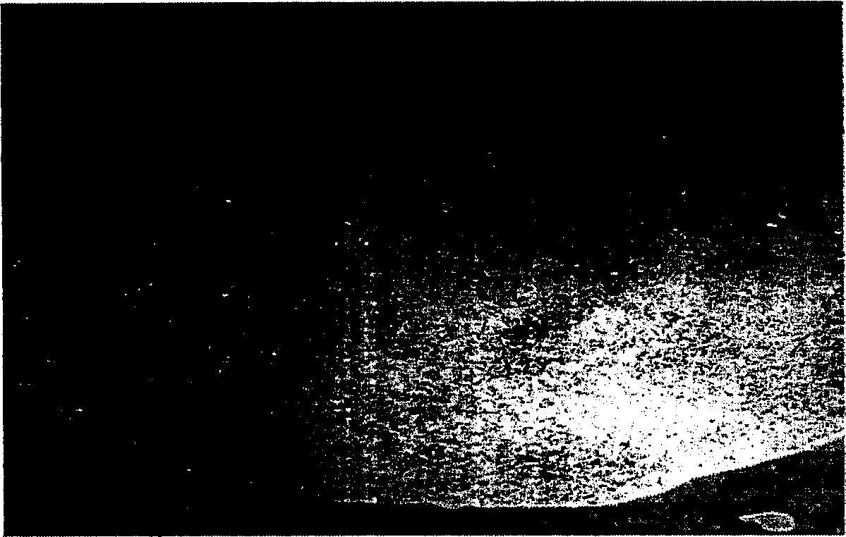 Green environment protection type raising-dust covering-agent and preparation process thereof