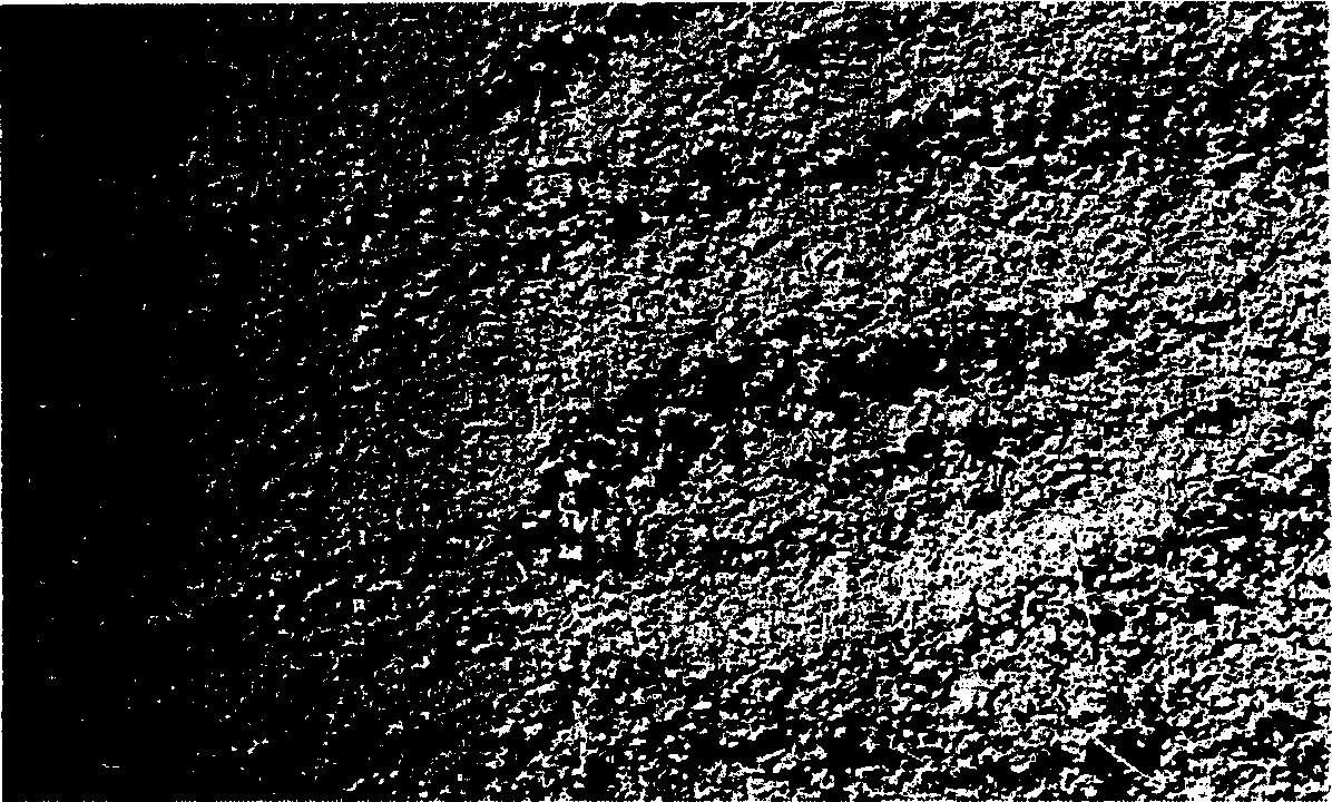 Green environment protection type raising-dust covering-agent and preparation process thereof