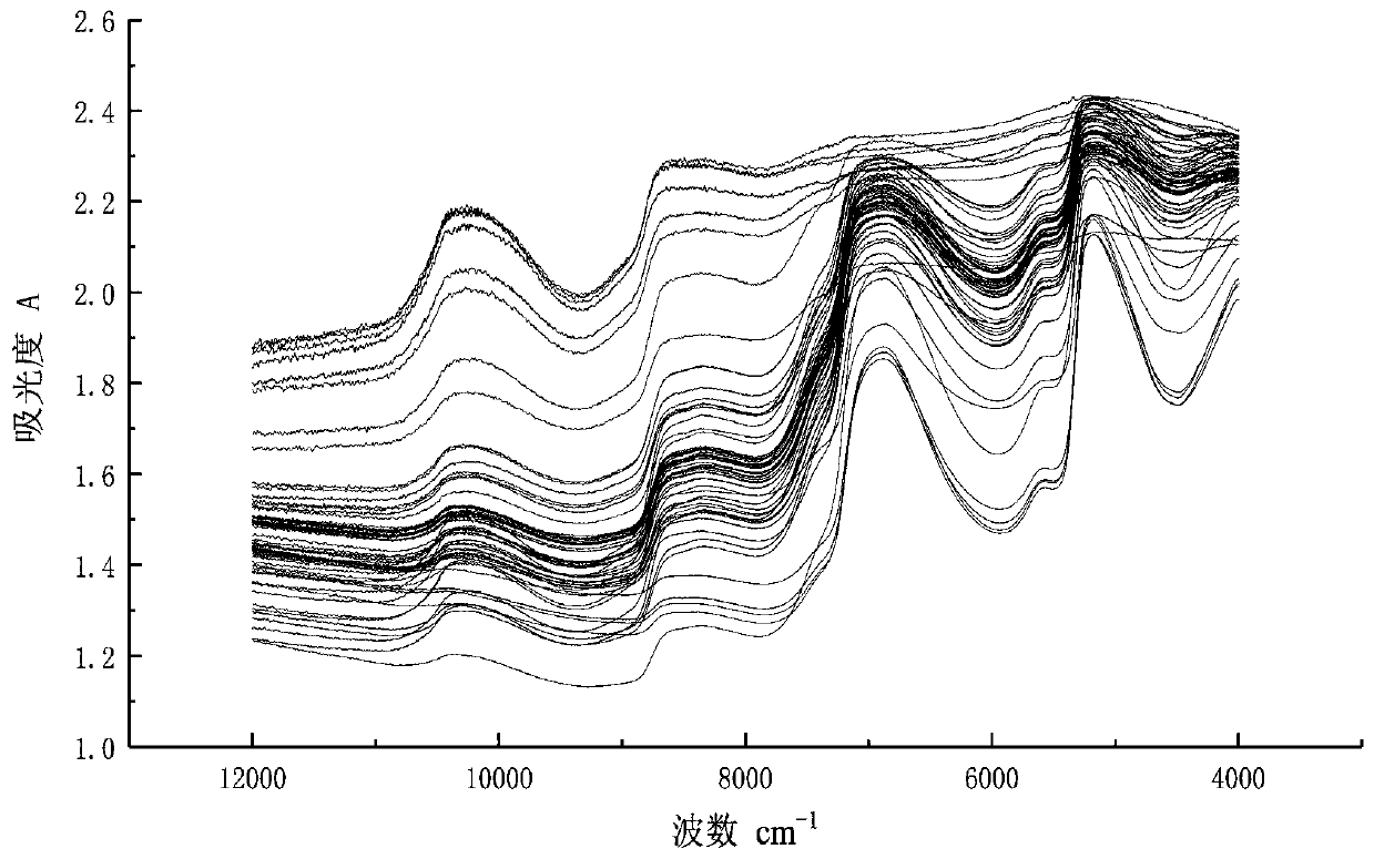 Quick prediction method for total nitrogen content of liquid dung in whole-chain step of liquid dung treatment for large-scale dairy farm