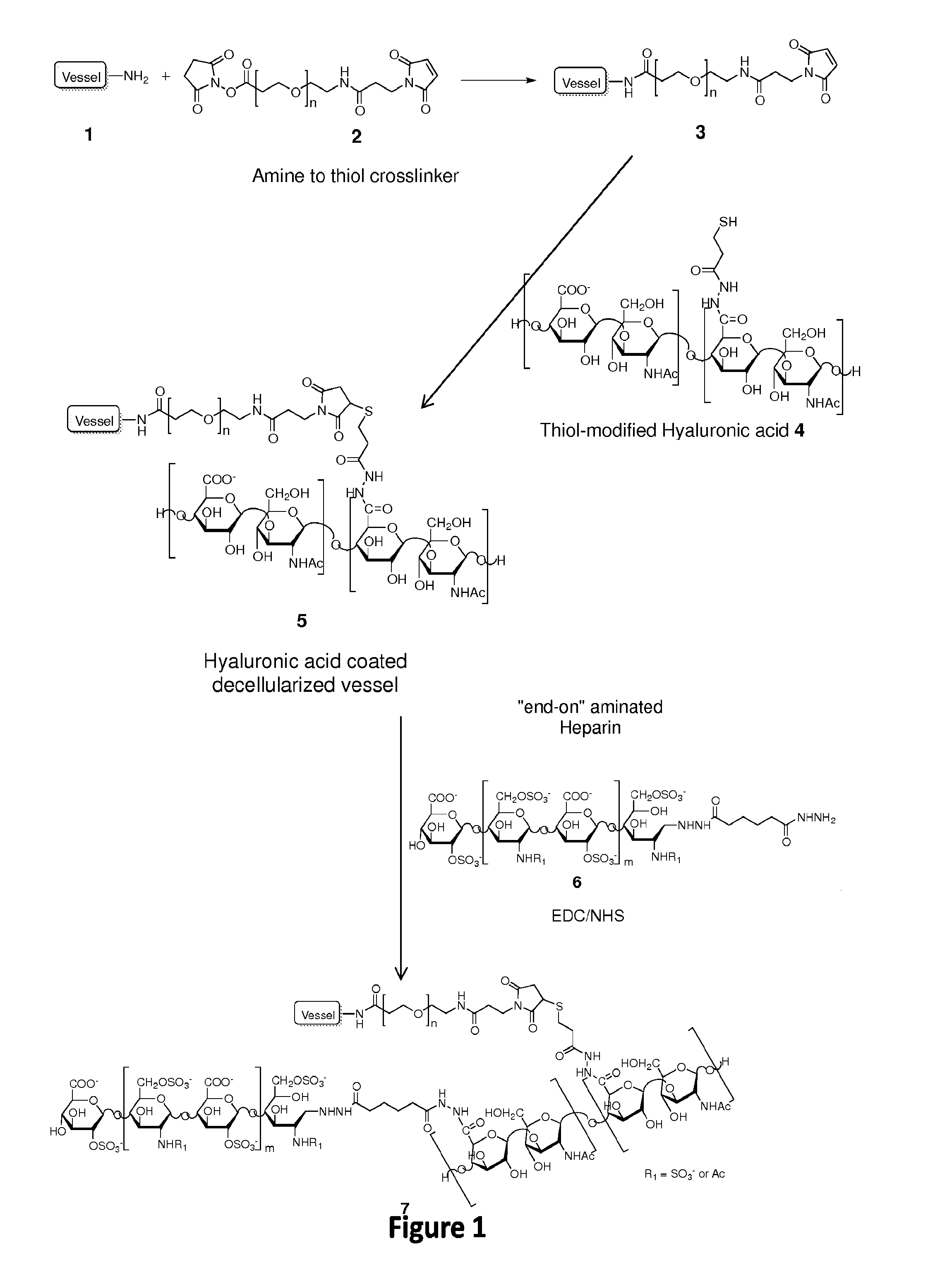 Anti-thrombogenic grafts