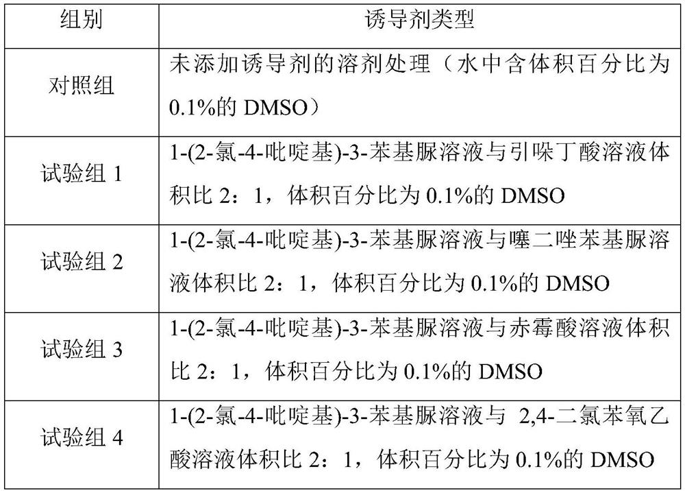 Method for inducing different types of kiwi fruit male flowers to bear fruits