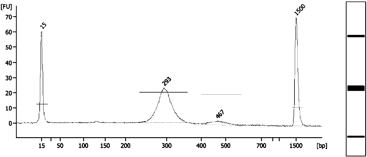 Method and system for determining fetus alpha thalassemia gene haplotype