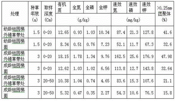 Method for retaining soil nutrients by constructing composite grass strips in red soil slope field