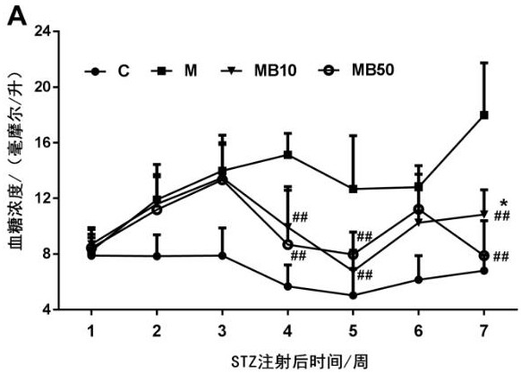 Application of BefA protein in preparing medicament for treating type I diabetes or complications thereof