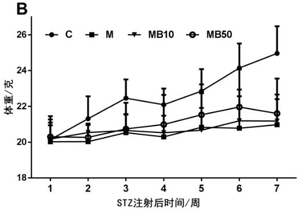 Application of BefA protein in preparing medicament for treating type I diabetes or complications thereof