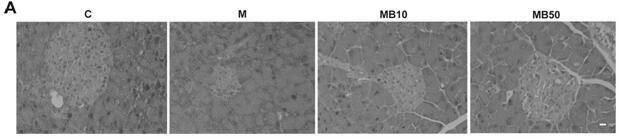 Application of BefA protein in preparing medicament for treating type I diabetes or complications thereof