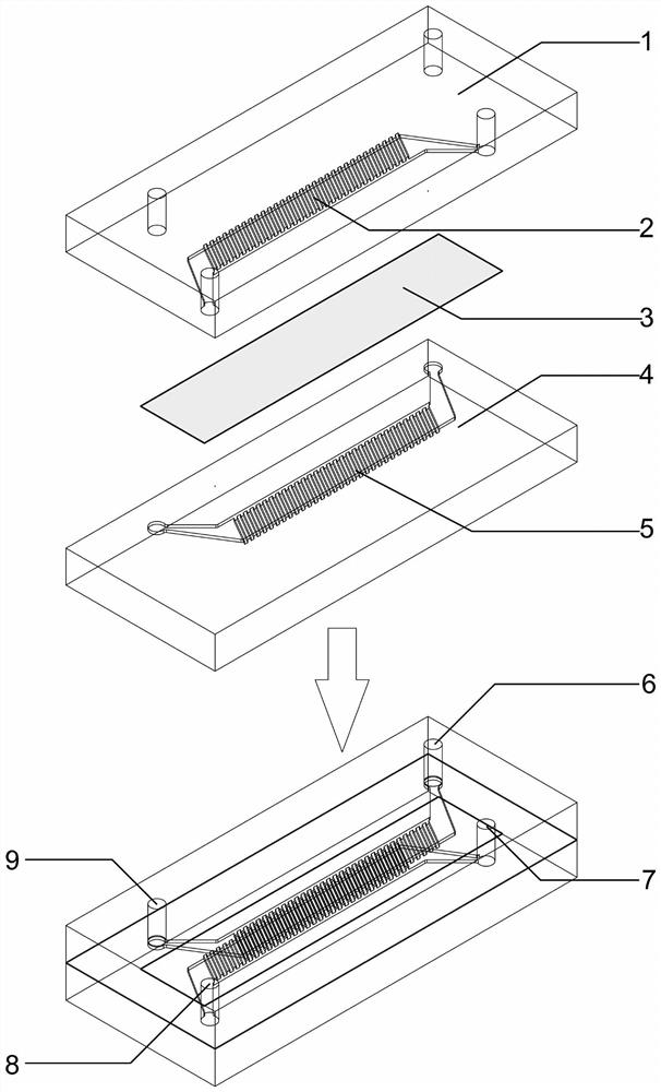 Micro-fluidic chip and application thereof