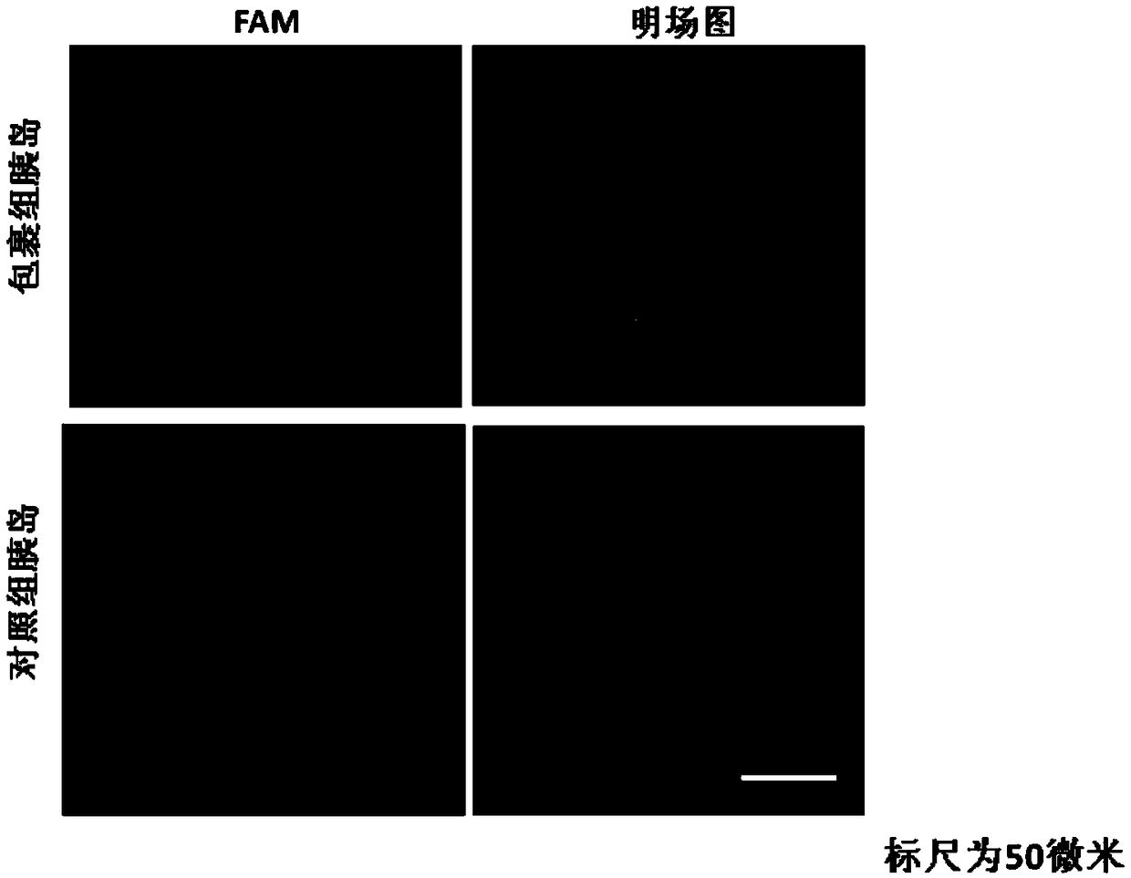 Phospholipid-glycosaminoglycan biomimetic extracellular matrix nanomembrane and its preparation method and application