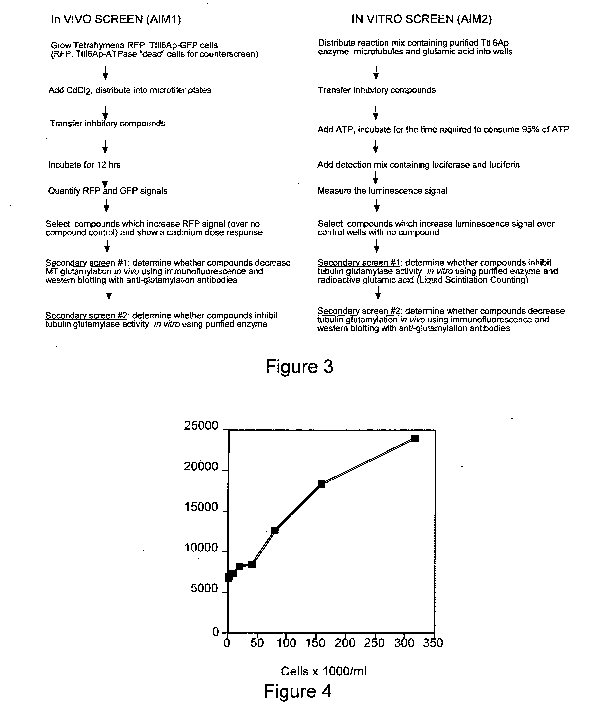 Biological system and assay for identifying modulators of tubulin ligases