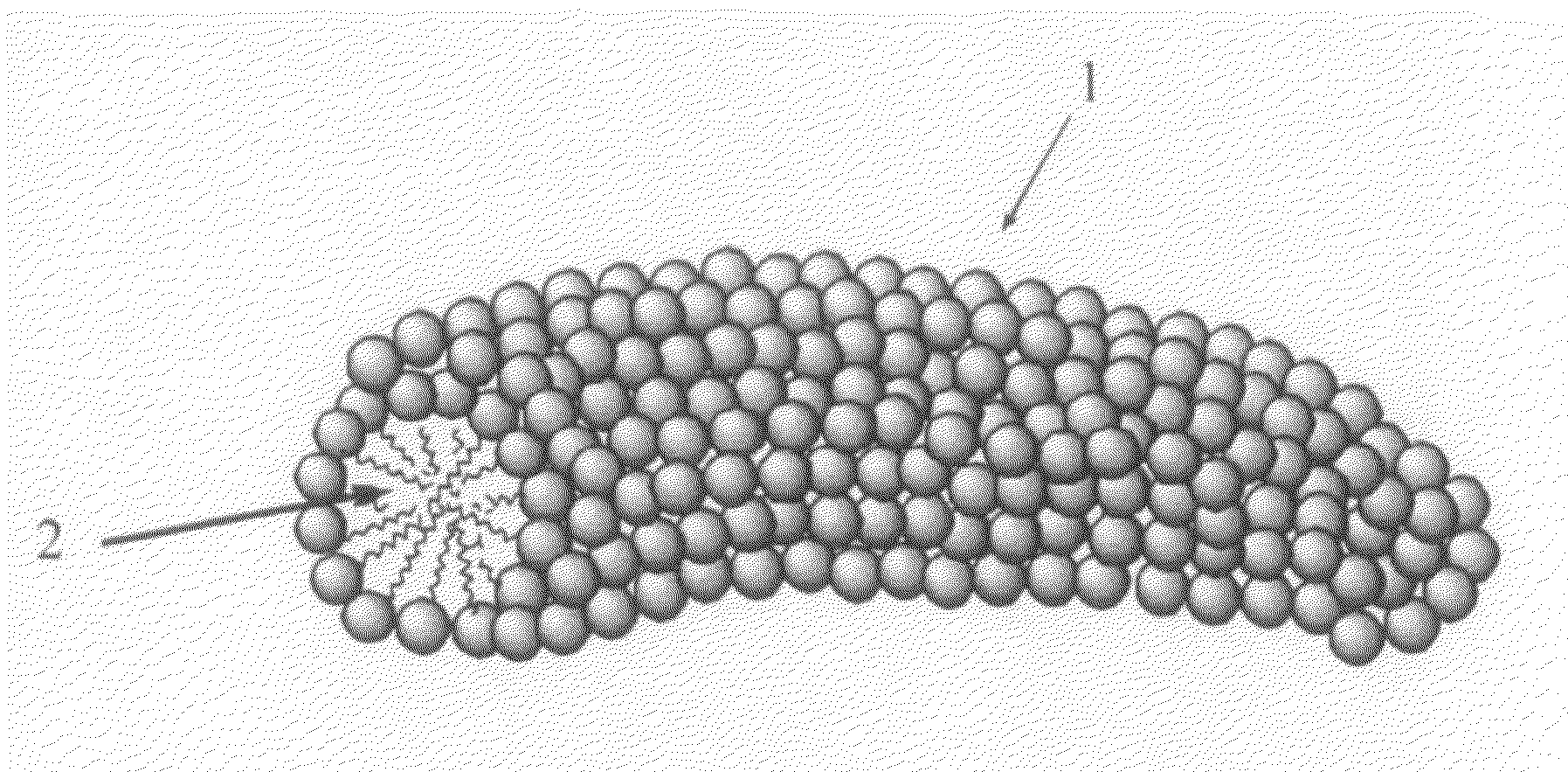 Polyolefin polymer having polar group, method for production thereof, and water dispersion material and mold release agent composition