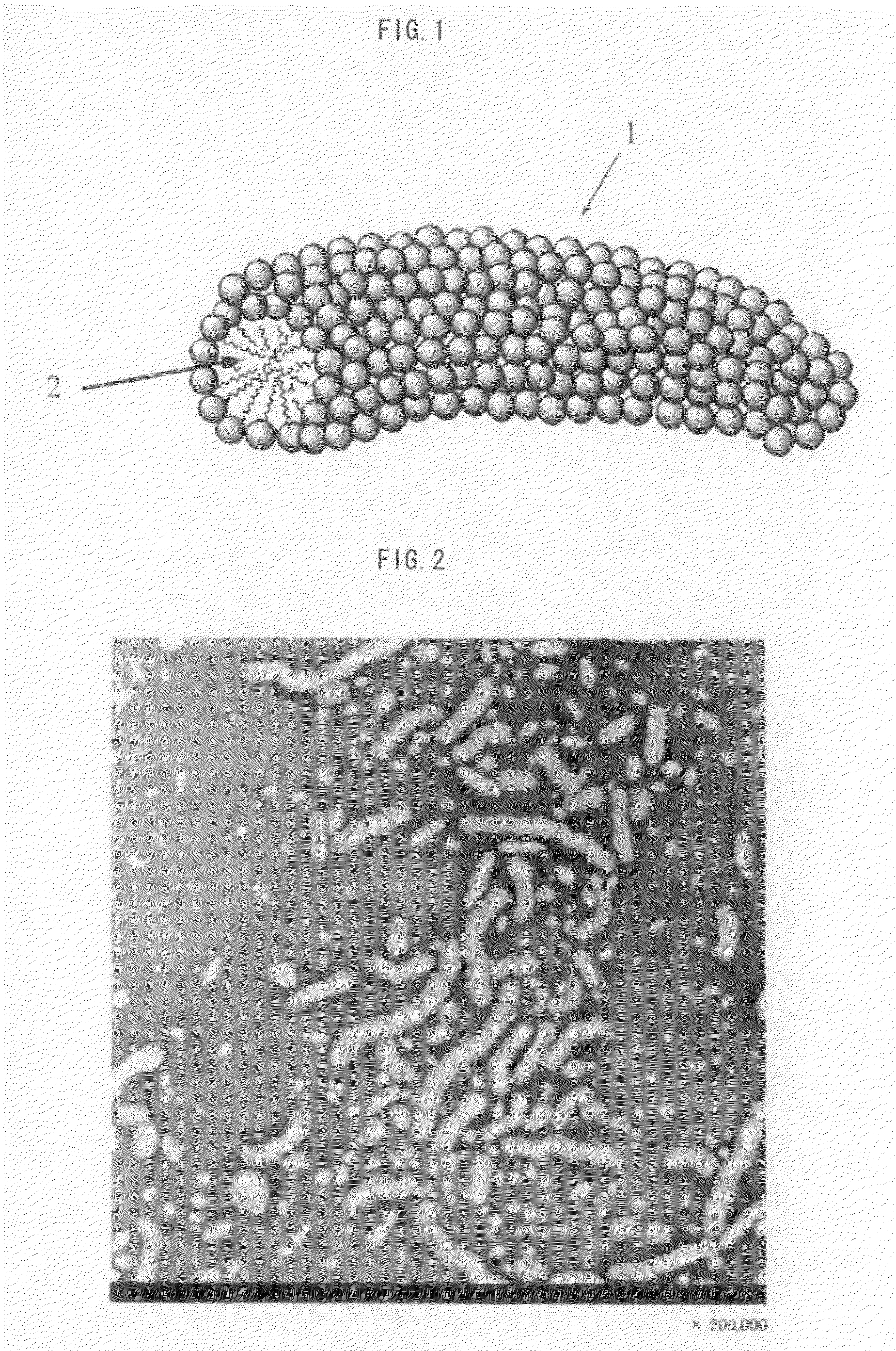 Polyolefin polymer having polar group, method for production thereof, and water dispersion material and mold release agent composition