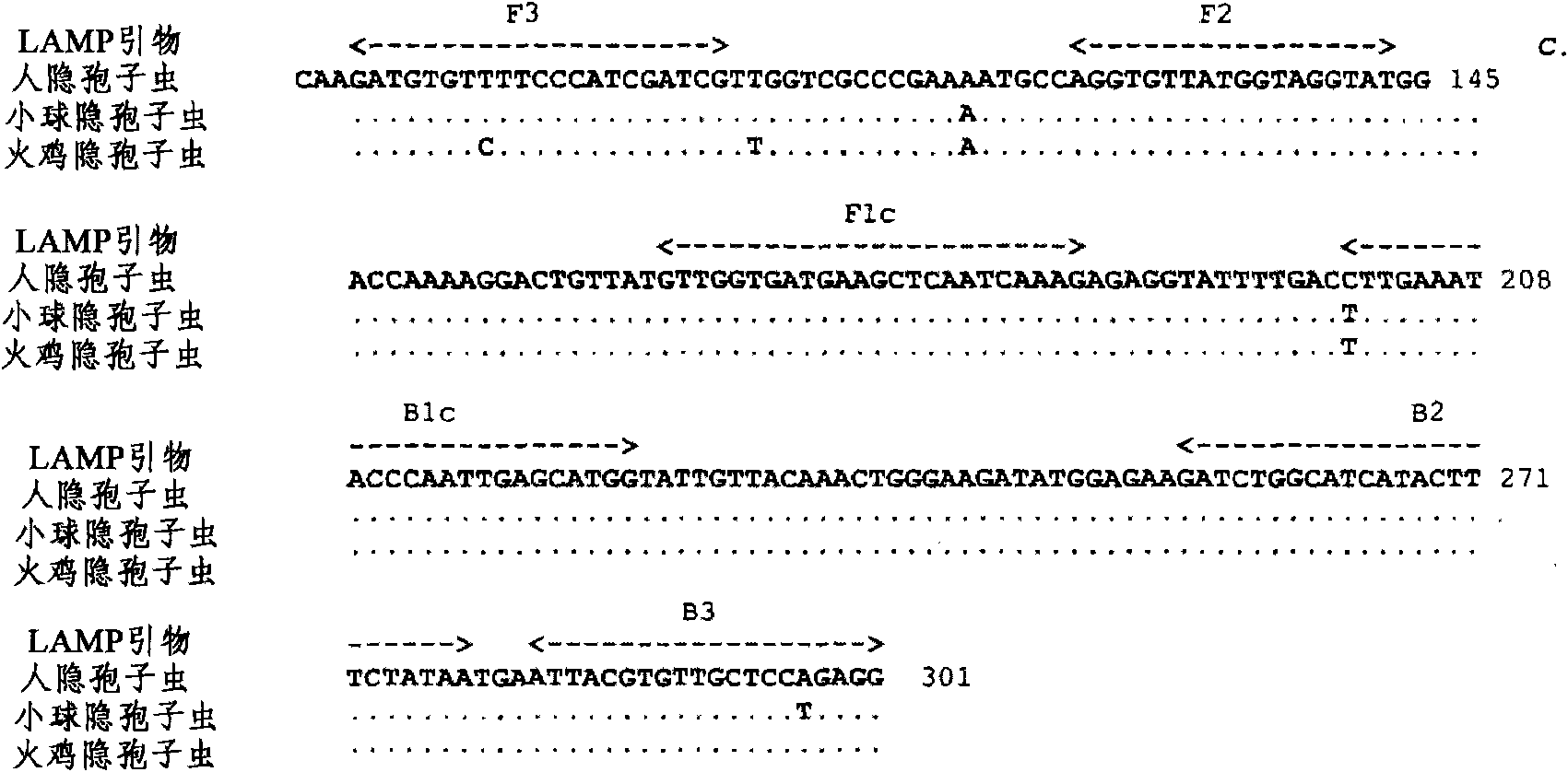 A method of detecting cryptosporidium