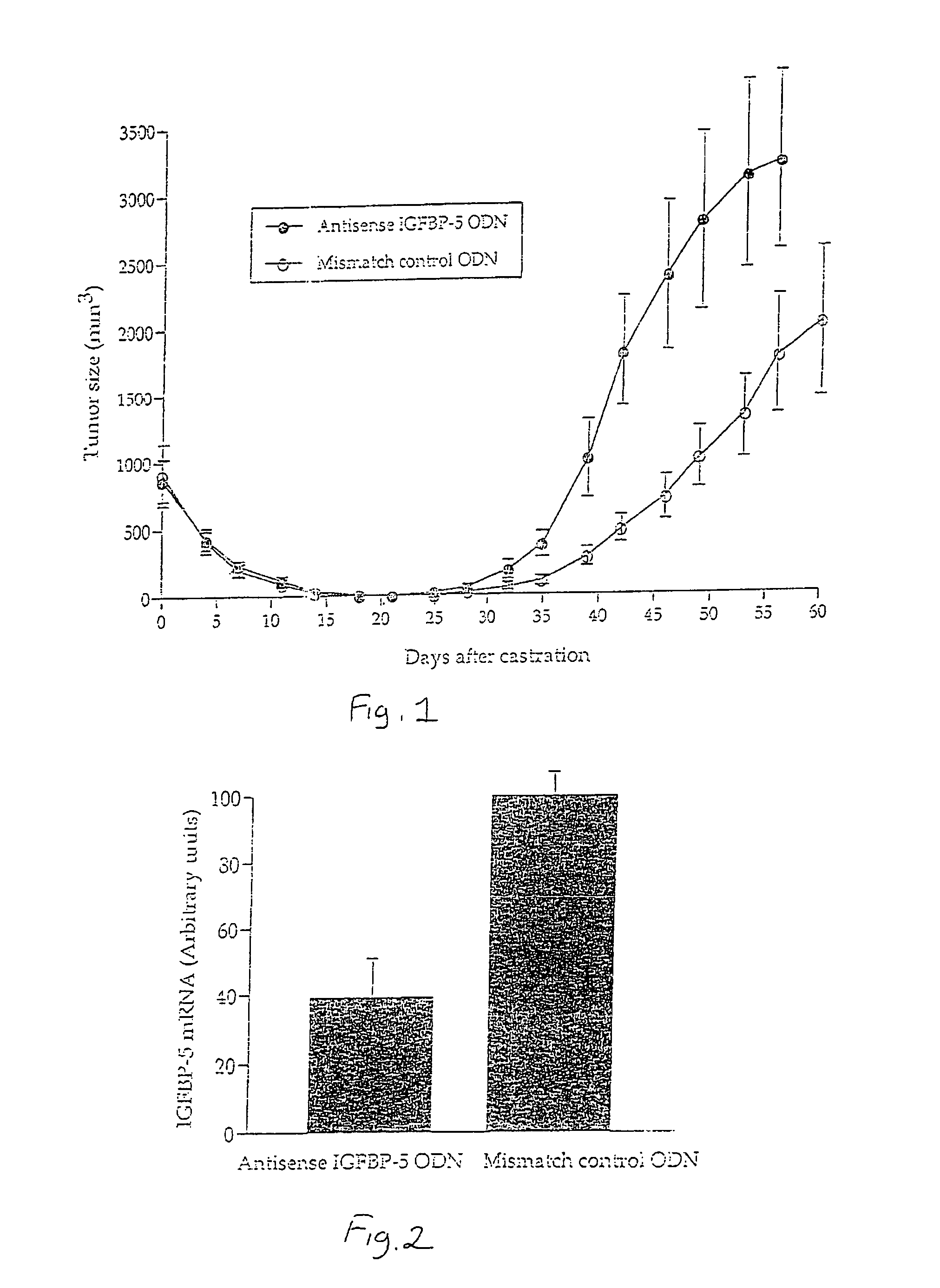 Antisense therapy for hormone-regulated tumors