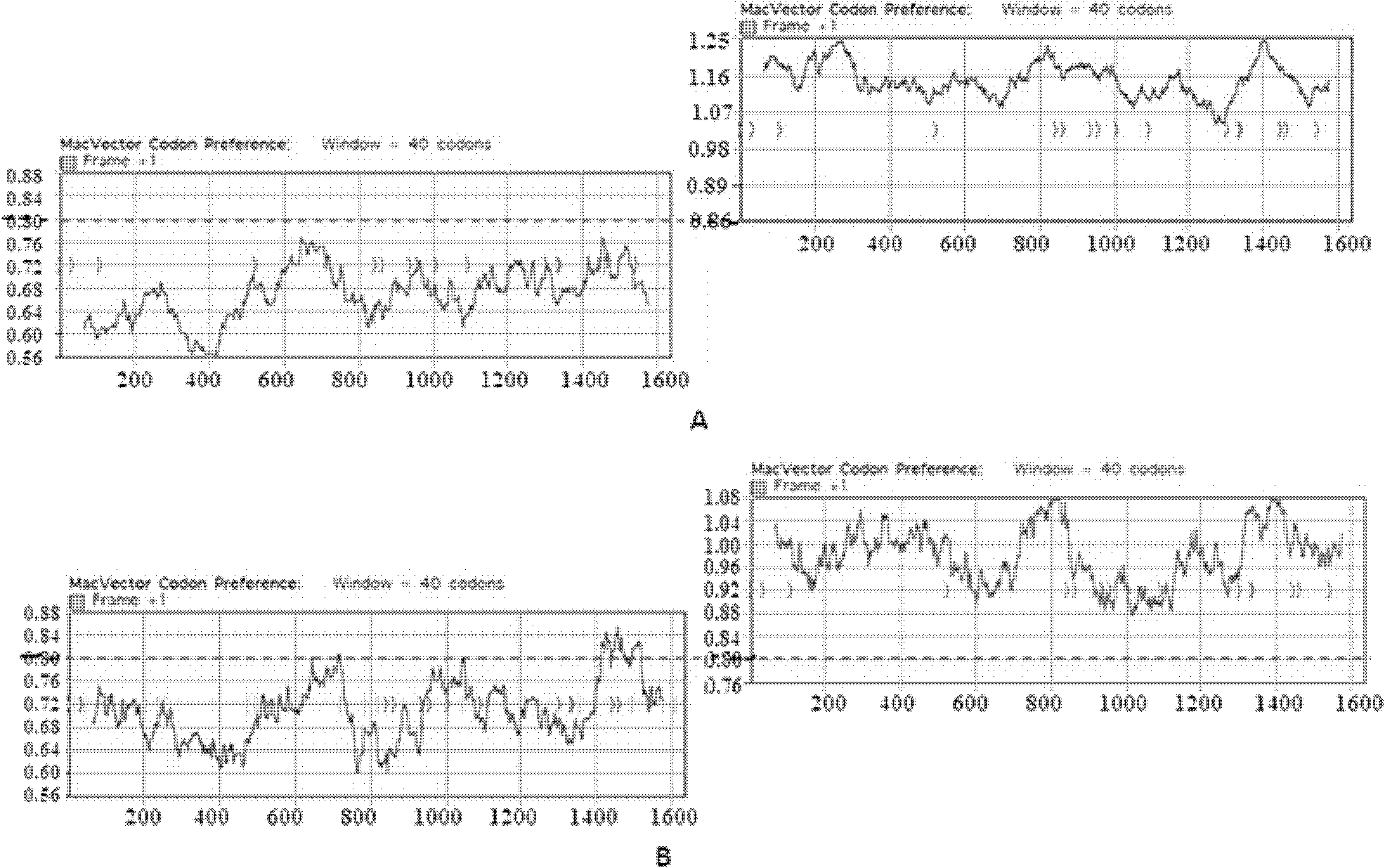 Clostridium difficile exotoxin B amino-terminal gene sequence with optimized codon and nucleic vaccine of clostridium difficile exotoxin B