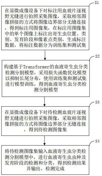 Parasite species development stage and image pixel classification method from bottom to top